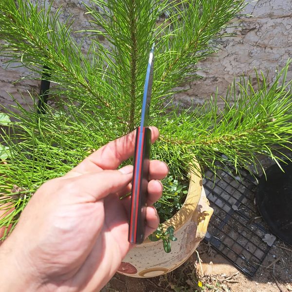 Navajas modelo Saltillo y Misisipi con acero O1 y material G10 y madera encina en las cachas, pasadores de acero al carbono y laton en la de madera.