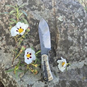 Keeslar Mojarrita