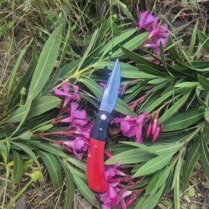 Slipjoint Herradura